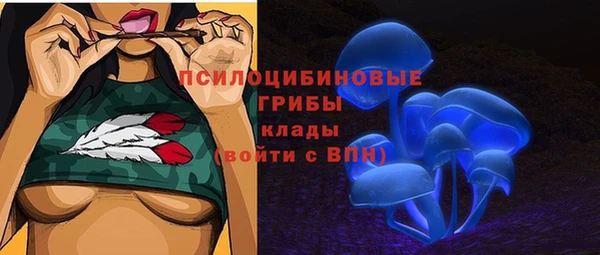 СК Володарск