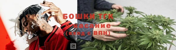 прущие грибы Волоколамск