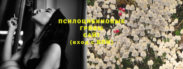 СК Володарск