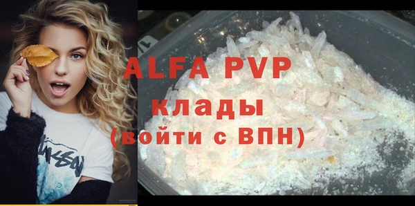 прущие грибы Волоколамск