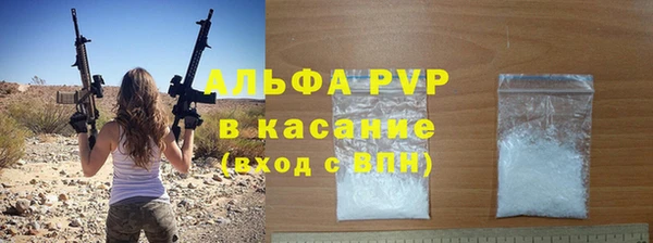прущие грибы Волоколамск